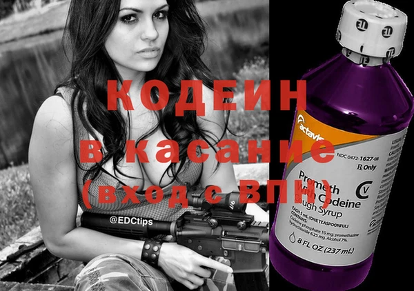 прущие грибы Няндома