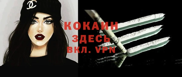 ПСИЛОЦИБИНОВЫЕ ГРИБЫ Абаза