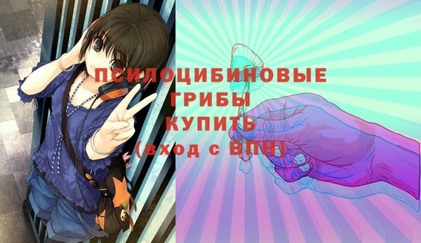 соль ск Алзамай